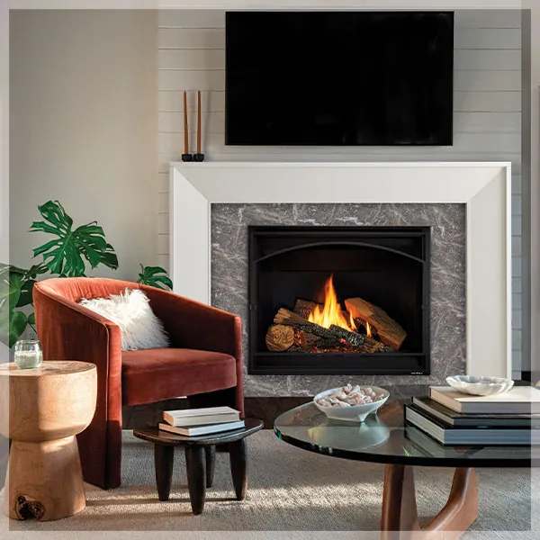 Professional Fireplace Services 